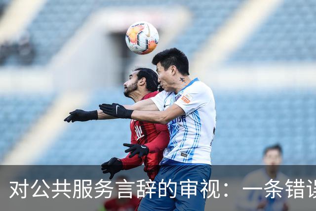 对公共服务言辞的审视：一条错误解读的深思